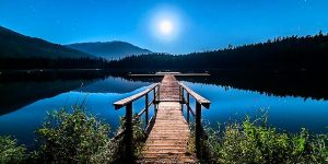 A Pathway through the Heart for the Light of Truth