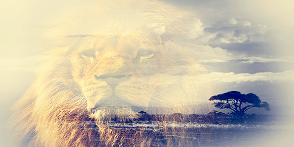 Lion of Truth
