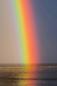 Saving & Preserving Our Oceans