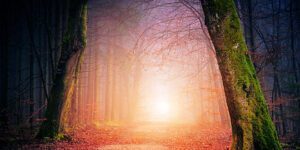 The Increasing Light in the World