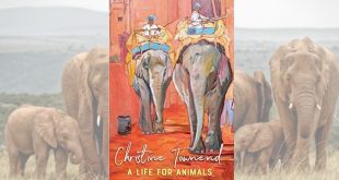 a life for animals