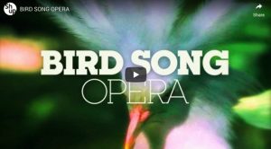 bird song opera