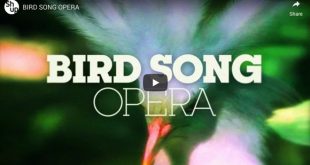 bird song opera