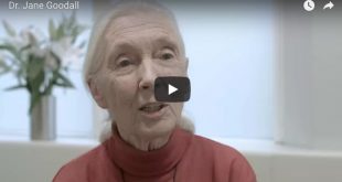 dr jane goodall speaks on One Humanity Institute