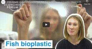 fish bioplastic