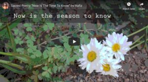 video - hafiz poem