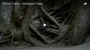 intelligent trees trailer