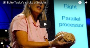 Jill Bolte Taylors stroke of insight