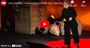 ted talk joan halifax compassion