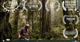 moving the giant redwoods video