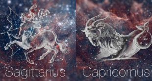 sagittarius and capricorn